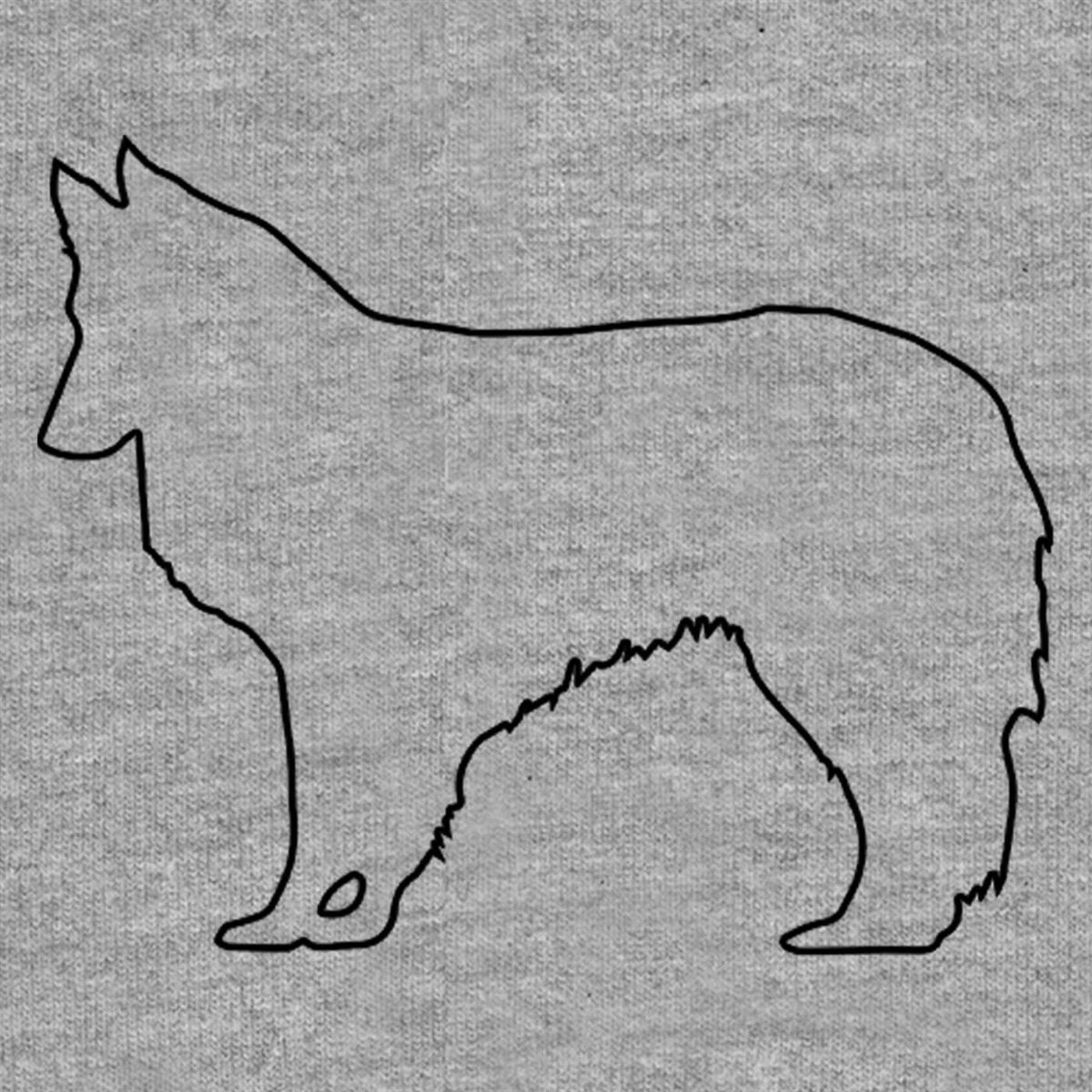 Hunderassen (Dogs) Shetland Sheepdog 5 Hunderassen (Dogs) Shetland Sheepdog – Bild 5