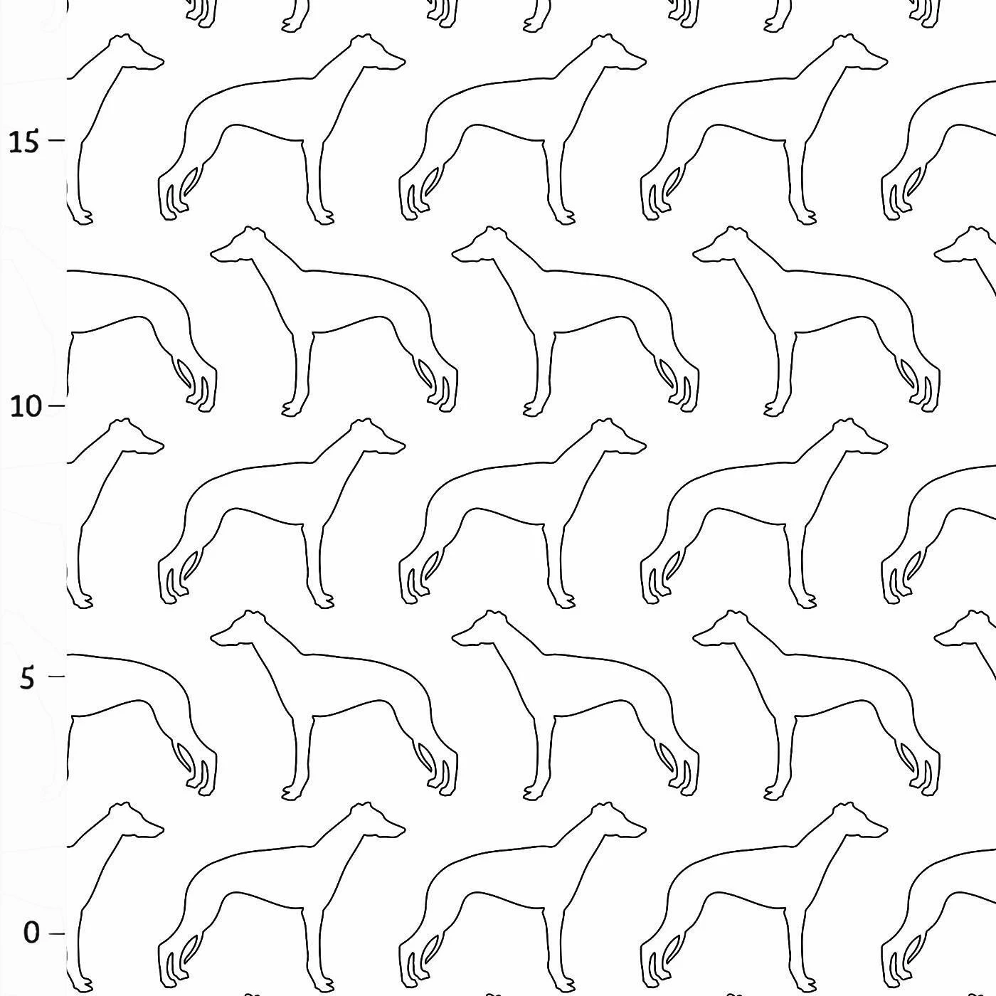 Hunderassen (Dogs) Whippet 3 Hunderassen (Dogs) Whippet – Bild 3