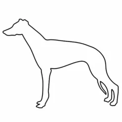 Hunderassen (Dogs) Whippet 8 Hunderassen (Dogs) Whippet -Outlet STOFFWELTEN Store hunderassen dogs whippet4