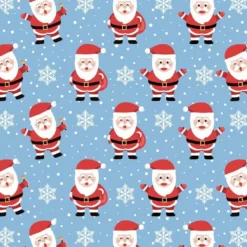 Santa, Bio-Sommersweat, Weihnachten