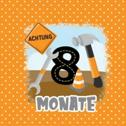 *SET* Bio-Jersey MONATS- Panel 1-12 Monate, Baustelle -Outlet STOFFWELTEN Store set bio jersey monats panel 1 12 monate baustelle12