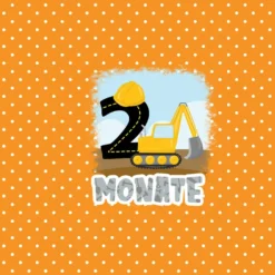 *SET* Bio-Jersey MONATS- Panel 1-12 Monate, Baustelle -Outlet STOFFWELTEN Store set bio jersey monats panel 1 12 monate baustelle6