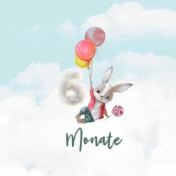 *SET* Bio-Jersey MONATS- Panel 1-12 Monate, Birthday Ballons -Outlet STOFFWELTEN Store set bio jersey monats panel 1 12 monate birthday ballons10