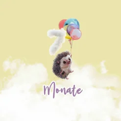 *SET* Bio-Jersey MONATS- Panel 1-12 Monate, Birthday Ballons -Outlet STOFFWELTEN Store set bio jersey monats panel 1 12 monate birthday ballons11