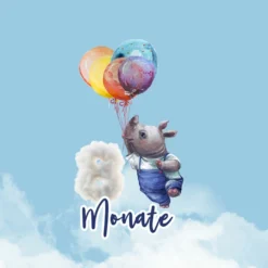 *SET* Bio-Jersey MONATS- Panel 1-12 Monate, Birthday Ballons -Outlet STOFFWELTEN Store set bio jersey monats panel 1 12 monate birthday ballons12