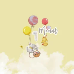 *SET* Bio-Jersey MONATS- Panel 1-12 Monate, Birthday Ballons -Outlet STOFFWELTEN Store set bio jersey monats panel 1 12 monate birthday ballons5