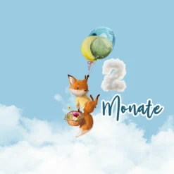 *SET* Bio-Jersey MONATS- Panel 1-12 Monate, Birthday Ballons -Outlet STOFFWELTEN Store set bio jersey monats panel 1 12 monate birthday ballons6
