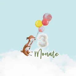 *SET* Bio-Jersey MONATS- Panel 1-12 Monate, Birthday Ballons -Outlet STOFFWELTEN Store set bio jersey monats panel 1 12 monate birthday ballons7