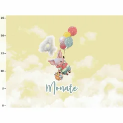 *SET* Bio-Jersey MONATS- Panel 1-12 Monate, Birthday Ballons -Outlet STOFFWELTEN Store set bio jersey monats panel 1 12 monate birthday ballons8