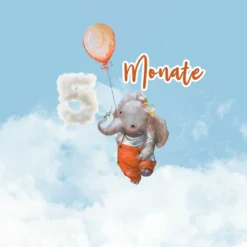 *SET* Bio-Jersey MONATS- Panel 1-12 Monate, Birthday Ballons -Outlet STOFFWELTEN Store set bio jersey monats panel 1 12 monate birthday ballons9