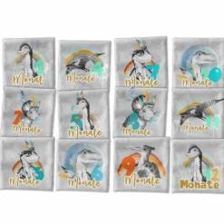 *SET* Bio-Jersey MONATS- Panel 1-12 Monate, Dino