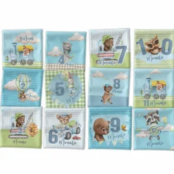 *SET* Bio-Jersey MONATS- Panel 1-12 Monate, Fuchs