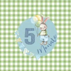 *SET* Bio-Jersey MONATS- Panel 1-12 Monate, Fuchs -Outlet STOFFWELTEN Store set bio jersey monats panel 1 12 monate fuchs9