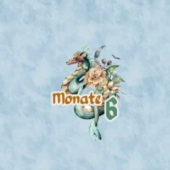 *SET* Bio-Jersey MONATS- Panel 1-12 Monate, Once Upon A Time -Outlet STOFFWELTEN Store set bio jersey monats panel 1 12 monate once upon a time10