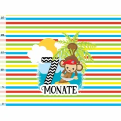 *SET* Bio-Jersey MONATS- Panel 1-12 Monate, Pirat Affe -Outlet STOFFWELTEN Store set bio jersey monats panel 1 12 monate pirat affe11