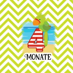 *SET* Bio-Jersey MONATS- Panel 1-12 Monate, Pirat Affe -Outlet STOFFWELTEN Store set bio jersey monats panel 1 12 monate pirat affe8