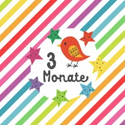 *SET* Bio-Jersey MONATS- Panel 1-12 Monate, Regenbogen -Outlet STOFFWELTEN Store set bio jersey monats panel 1 12 monate regenbogen7