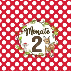 *SET* Bio-Jersey MONATS- Panel 1-12 Monate, Rehkitz -Outlet STOFFWELTEN Store set bio jersey monats panel 1 12 monate rehkitz6