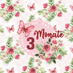 *SET* Bio-Jersey MONATS- Panel 1-12 Monate, Schmetterlinge -Outlet STOFFWELTEN Store set bio jersey monats panel 1 12 monate schmetterlinge7